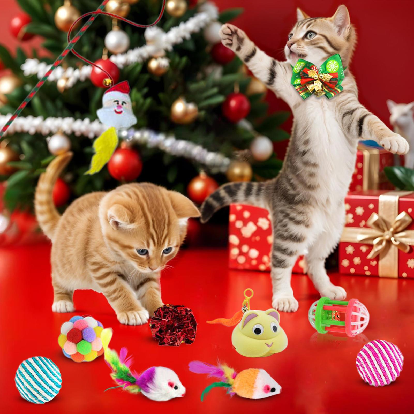 애완 고양이 장난감 캘린더 2025 24일 고양이 장난 - Kids Toys Xmas 2025 리뷰 및 가격
