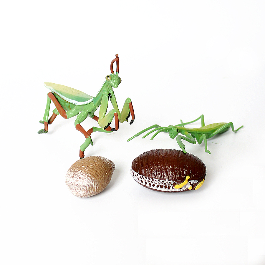 현실적인 난초 사마귀, 죽은 잎사귀 사마귀, 거대 잎사 - Kids Toys Home 리뷰 및 가격